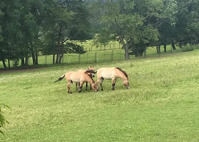 Prazdninovy Dum Adrelot 33 بيت للعطل